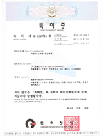 Certificate of Patent_02